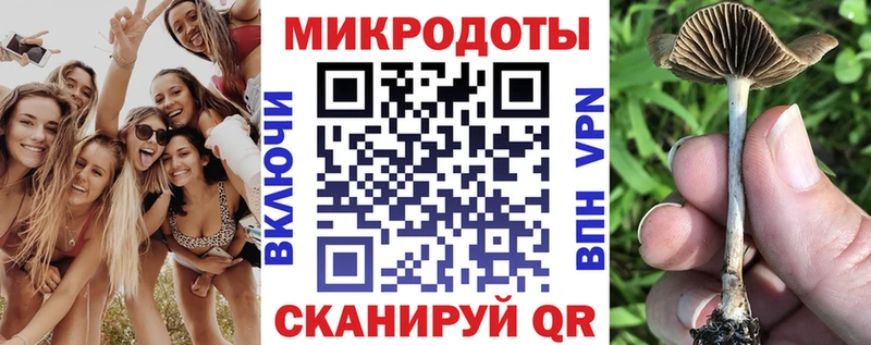 Псилоцибиновые грибы прущие грибы  Верхний Уфалей 